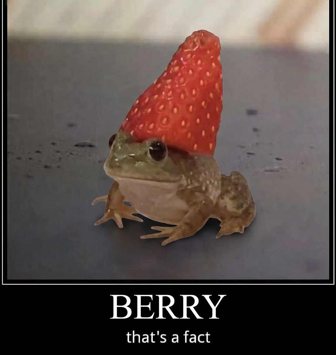 Berry Toad motivational poster reading BERRY, that's a fact